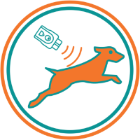 Отпугиватели собак